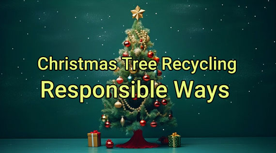 Christmas Tree Recycling - Responsible Ways