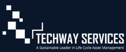 Techway Services